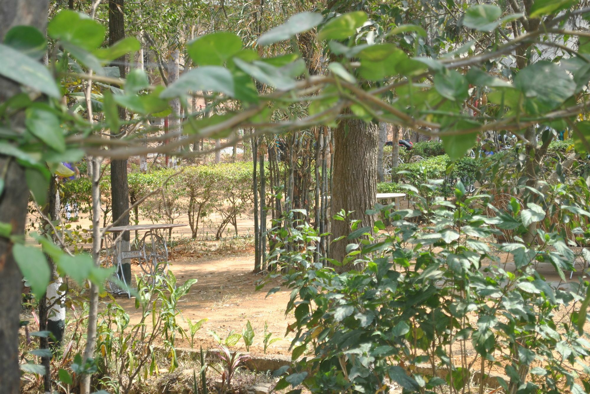 Eagle Ridge Resort Bangalore Exterior foto